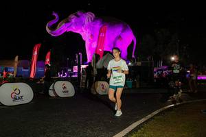 BIB: 
                            <button type="button" onclick="openModal(26534961)" class="btn btn-primary btn-sm float-right btn-popup" data-toggle="modal" data-target=".modal-high-quality">
                        <i class="fas fa-shopping-cart"></i> Add to Cart
                    </button>
                                            <button type="button" onclick="isThisMe(26534961, true)" class="btn btn-success btn-sm float-right btn-popup btn-isme hidden" data-toggle="tooltip" data-placement="bottom" title="นี่คือรูปของคุณใช่ไหม คลิกที่นี่เพื่อเอาเข้าอัลบั้ม">
                        <i class="fas fa-plus"></i> Add to album
                    </button>
                    <button type="button" onclick="isThisMe(26534961, false)" class="btn btn-warning btn-sm float-right btn-popup btn-isnotme hidden">
                        <i class="fas fa-ban"></i> Remove from album
                    </button>